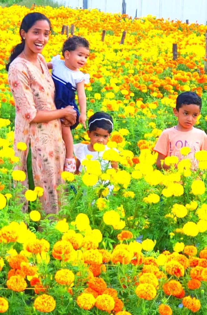 de66d69d-92fa-4f6f-afc8-9338f3468249_11zon