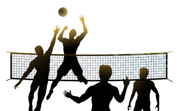 f04bc6af-f311-4e28-94ba-3aa27313923d_11zon