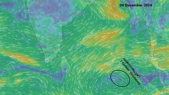 dec-6-1123053
